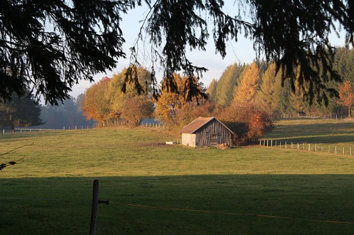 Couleurs d'automne 1